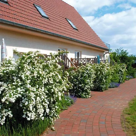 Muritzsee Buchholz - Dms02100-iyd Tatil Evi